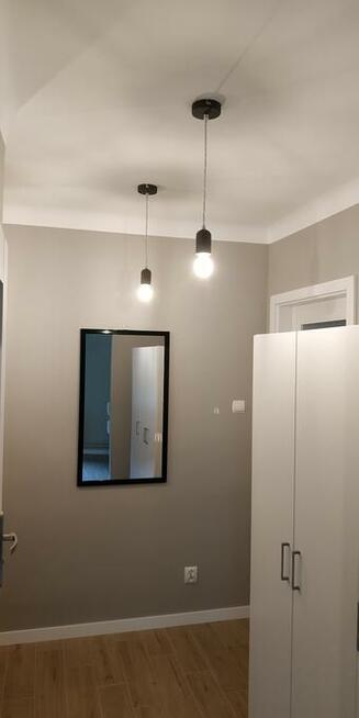 Do wynajęcia od października 1550 zł Piotrków Trybunalski