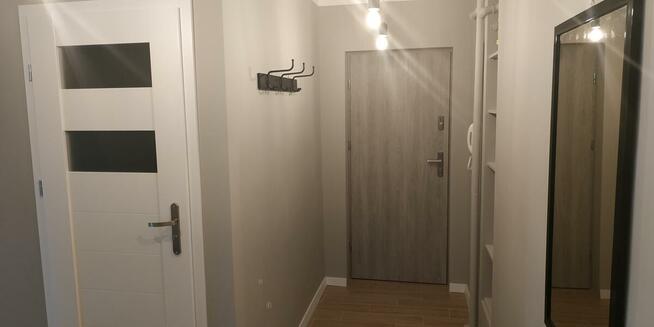 Do wynajęcia od października 1550 zł Piotrków Trybunalski