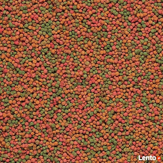 Versele-Laga NutriBird B14 papużki faliste 4x1kg