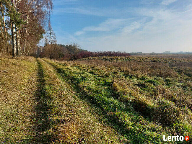 Malowanicza działka Mazury KW nieopodal jeziora