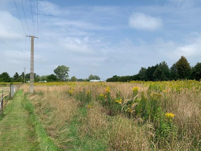 Działki budowlane 8 ar, Budzisz, Dębica