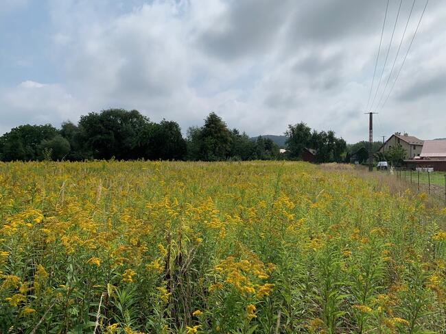 Działki budowlane 8 ar, Budzisz, Dębica