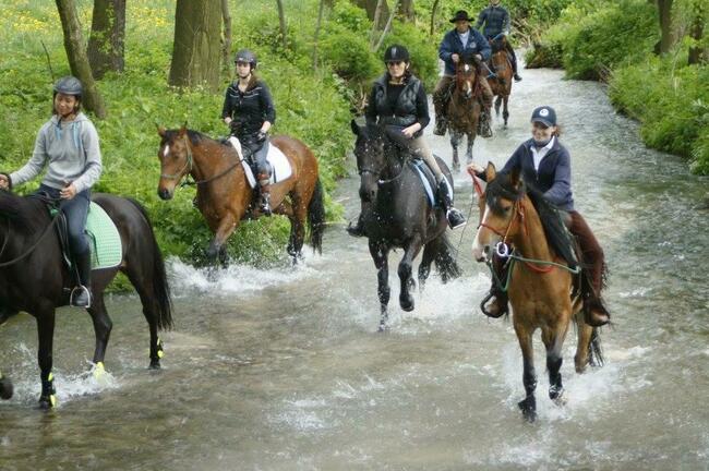Wolne boksy dla koni/pastwiska - 20 km na płn od Krakowa