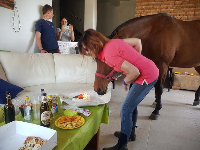 Wolne boksy dla koni/pastwiska - 20 km na płn od Krakowa