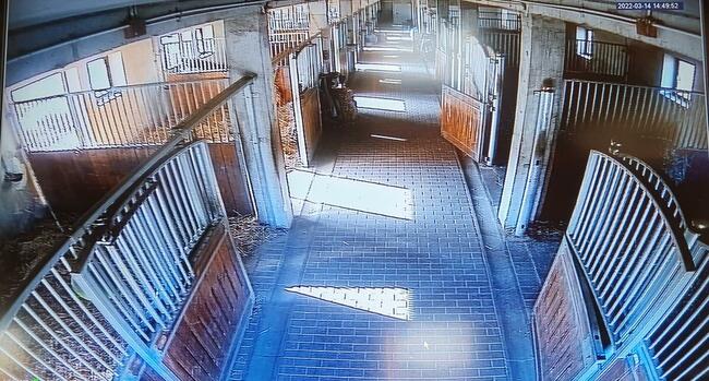 Wolne boksy dla koni/pastwiska - 20 km na płn od Krakowa