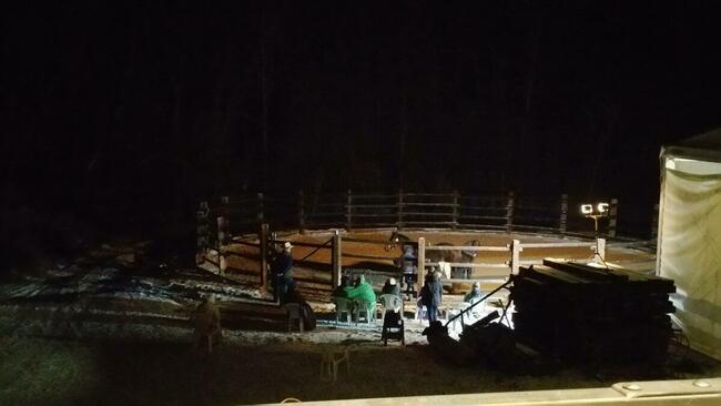 Wolne boksy dla koni/pastwiska - 20 km na płn od Krakowa