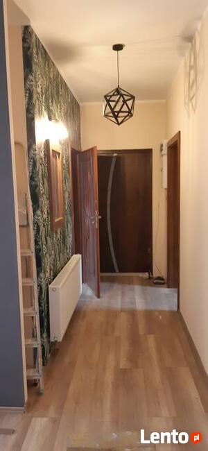 Malowanie szpachlowanie panele dogodne ceny