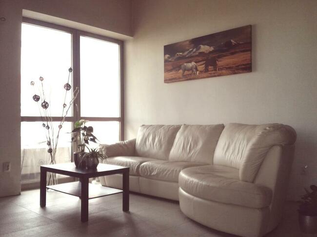 Wolne boksy dla koni/pastwiska - 20 km na płn od Krakowa