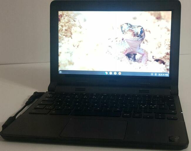 Laptop Dell Chromebook 11 11,6 Intel Celeron N 2GB 16GB