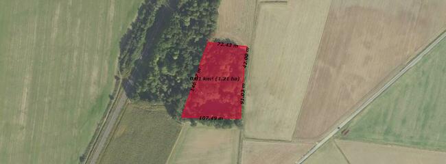 Działka zalesiona z dwoma zbiornikami wodnymi