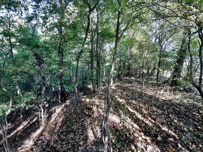 Działka zalesiona z dwoma zbiornikami wodnymi