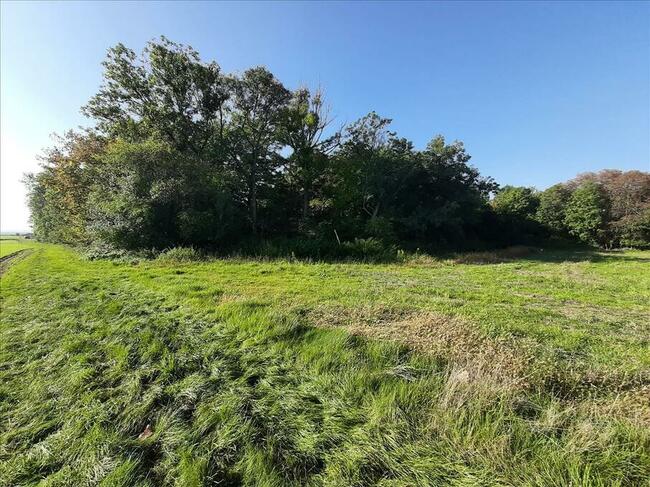 Działka zalesiona z dwoma zbiornikami wodnymi