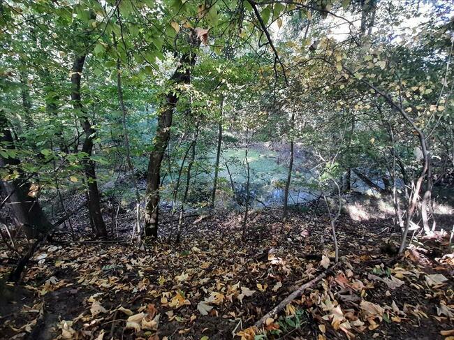 Działka zalesiona z dwoma zbiornikami wodnymi