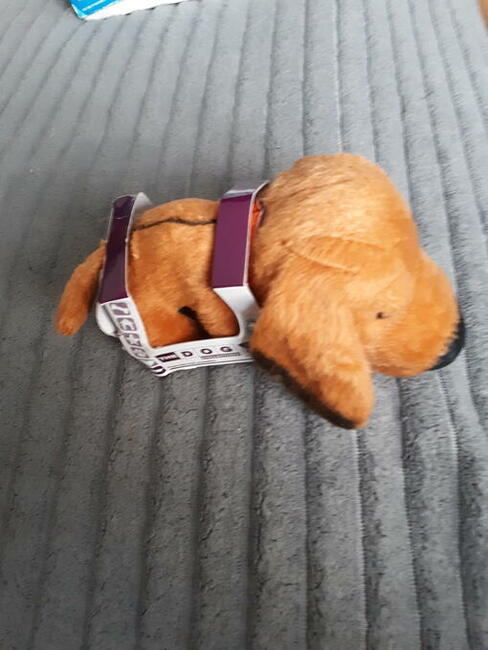 THE DOG Artist Collection pluszak