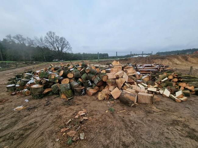 drzewo opałowe rąbane buk dąb sosna olcha topola jesion