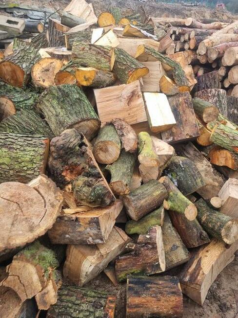 drzewo opałowe rąbane buk dąb sosna olcha topola jesion