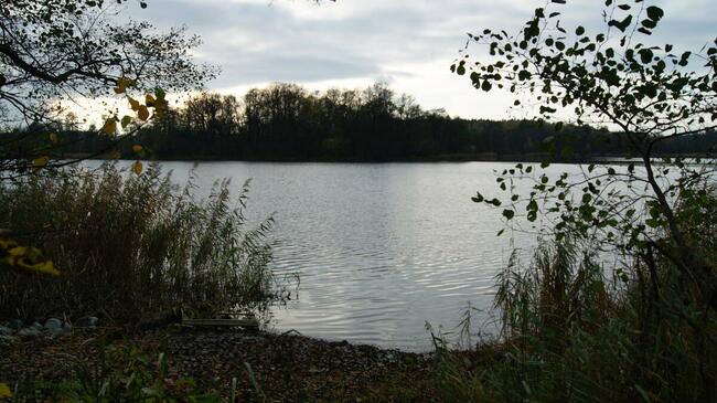 Dom w wyjątkowym miejscu dla wyjątkowej rodziny OKAZJA