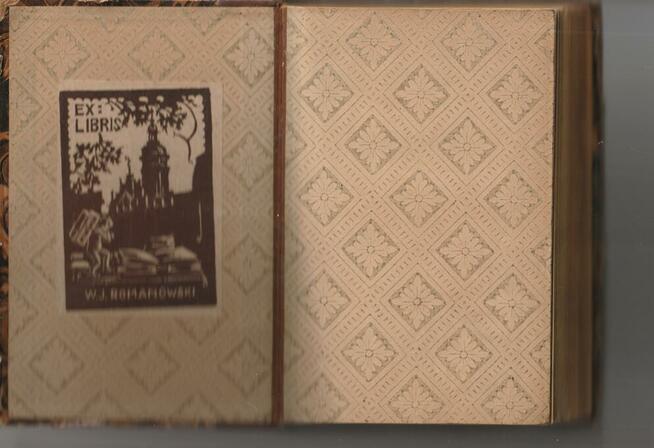 Pańskie dziady Michał Bałucki. Wydanie 2.Unikat!!