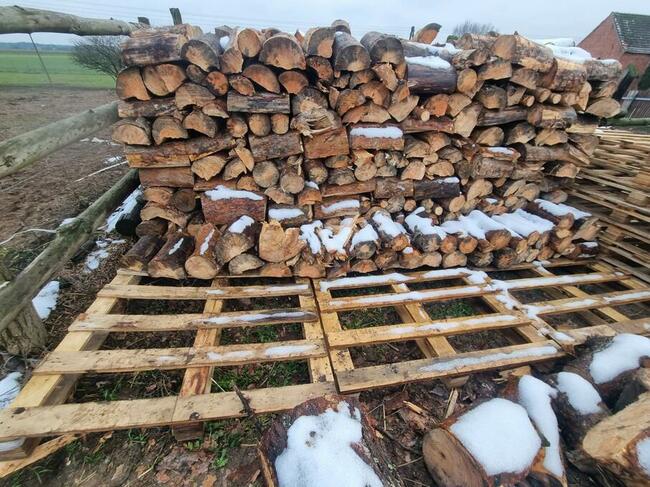 drzewo opałowe rąbane buk dąb sosna olcha topola jesion