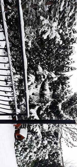 *DOM - Z GRUNTEM LUB BEZ