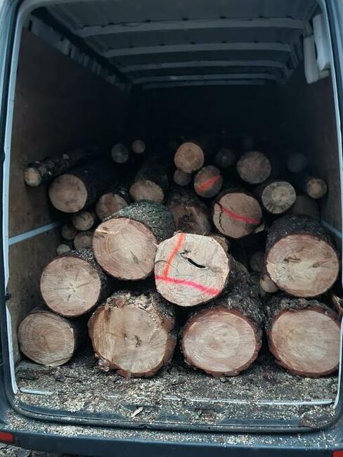 drzewo opałowe rąbane buk dąb sosna olcha topola jesion