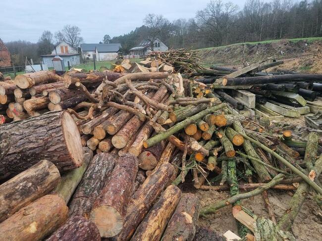 drzewo opałowe rąbane buk dąb sosna olcha topola jesion