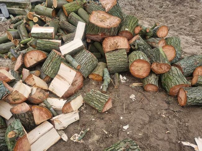 drzewo opałowe rąbane buk dąb sosna olcha topola jesion