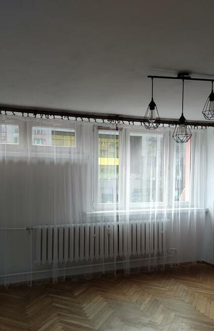 Do wynajęcia Czarnowiejska Kraków od zaraz