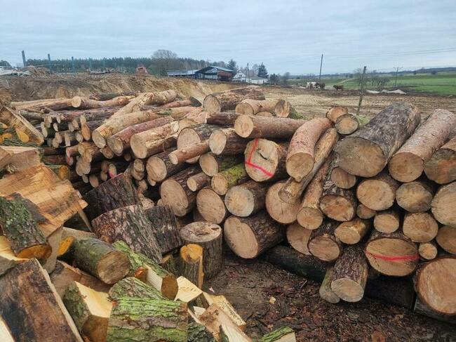 drzewo opałowe rąbane buk dąb sosna olcha topola jesion