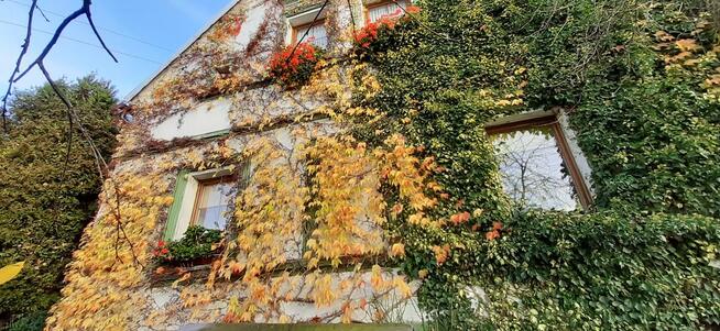 *DOM - Z GRUNTEM LUB BEZ