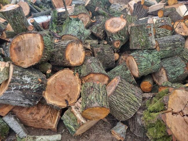 drzewo opałowe rąbane buk dąb sosna olcha topola jesion