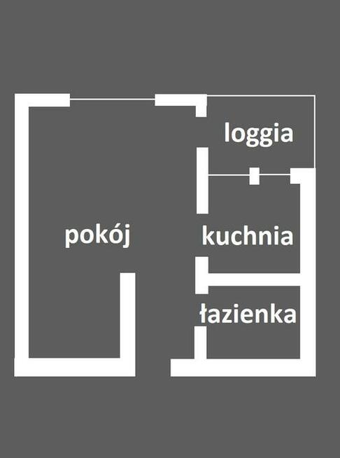 Do wynajęcia Czarnowiejska Kraków od zaraz