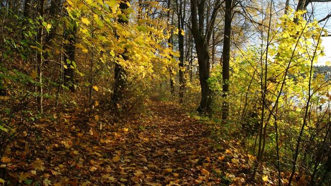 Dom w wyjątkowym miejscu dla wyjątkowej rodziny OKAZJA