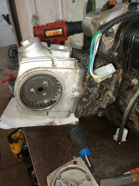 Serwis pilarek , kosiarek