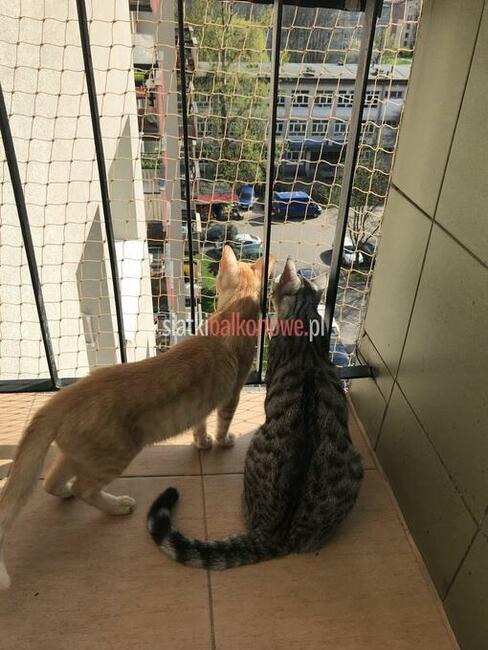 Siatka dla kota, siatka na balkon, siatka balkonowa