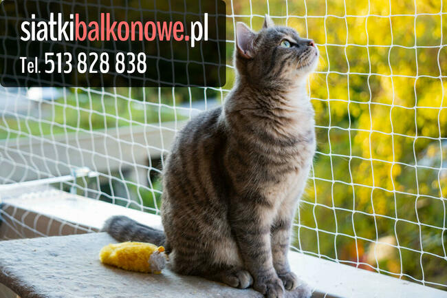 Siatka dla kota, siatka na balkon, siatka balkonowa
