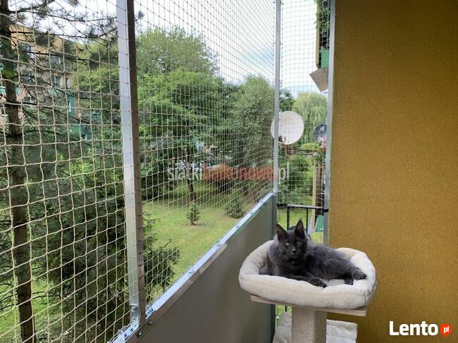 Siatka dla kota, siatka na balkon, siatka balkonowa