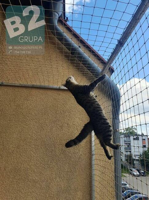 Siatka dla kota, siatka balkonowa, siatka na balkon