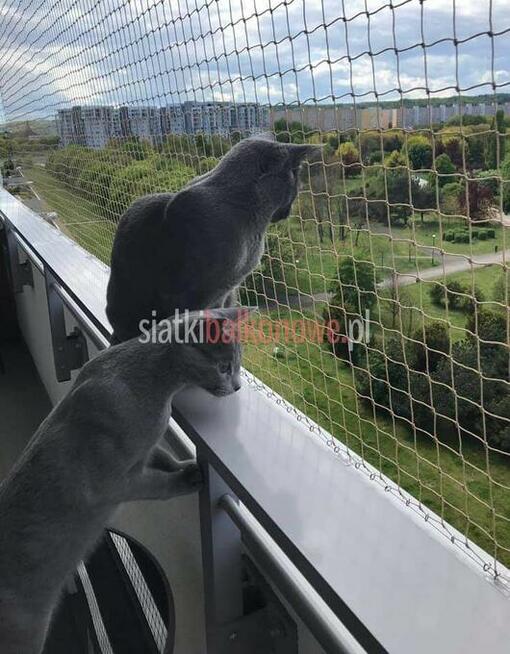Siatka dla kota, siatka na balkon, siatka balkonowa