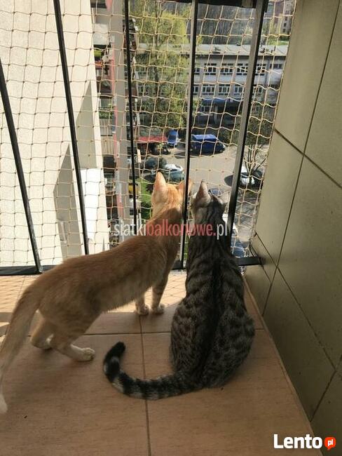 Siatka dla kota, siatka na balkon, siatka balkonowa