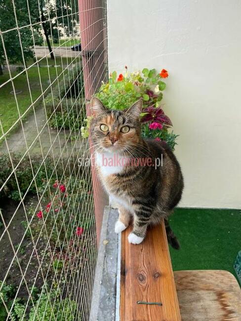 Siatka dla kota, siatka na balkon, siatka balkonowa