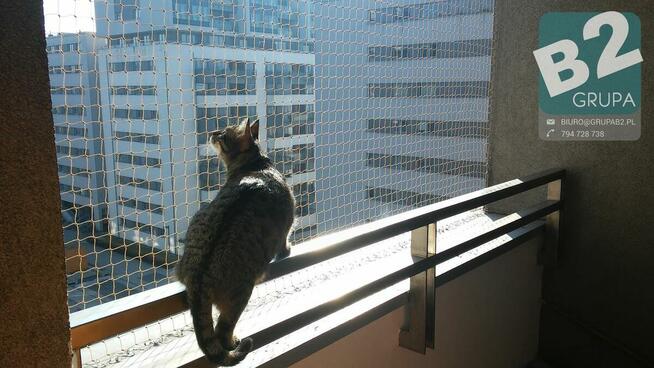 Siatka dla kota, siatka balkonowa, siatka na balkon