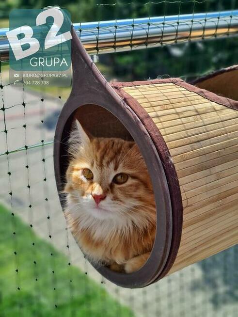 Siatka dla kota, siatka balkonowa, siatka na balkon