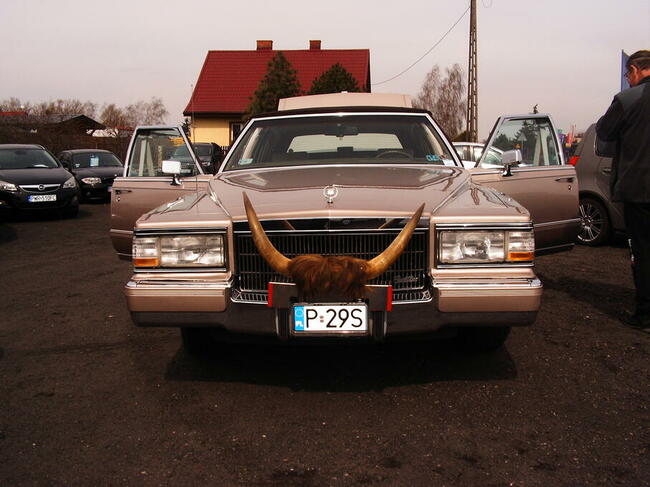 Wołga Gaz 21 Motoryzacja