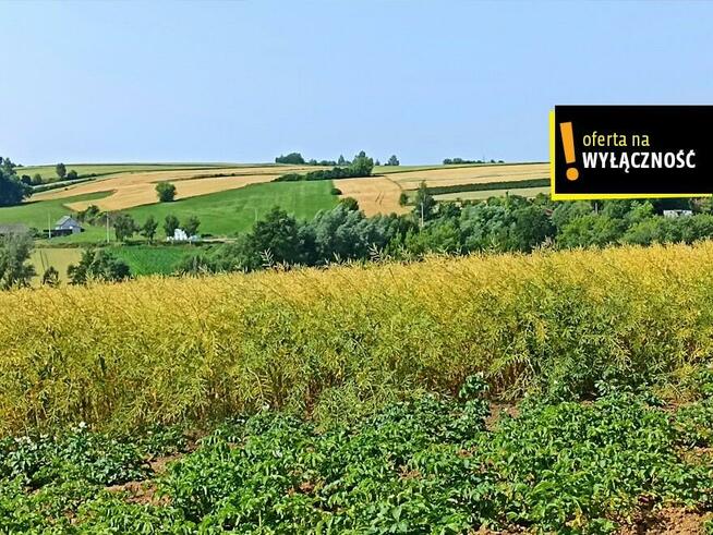 Działka rolna Nikisiałka Duża gm. Opatów,