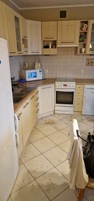 Sprzątanie biur, mieszkań, domków