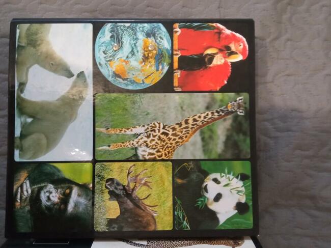 Sprzątanie starych domów, mieszkań, garaży posesji