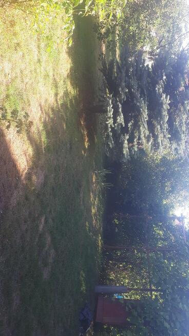 Przytulny, energooszczędny w ładnej spokojnej okolicy dom