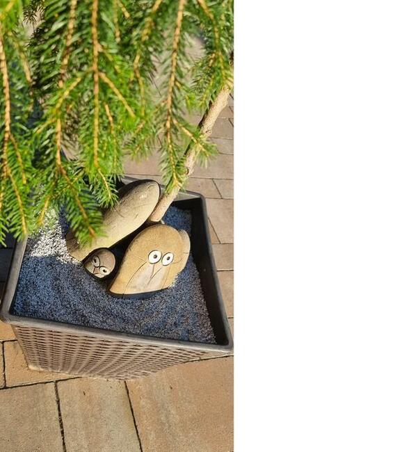 Suche Kruszywo Granitowe Fuga Zasypka do Kostki 2-3 mm Grys