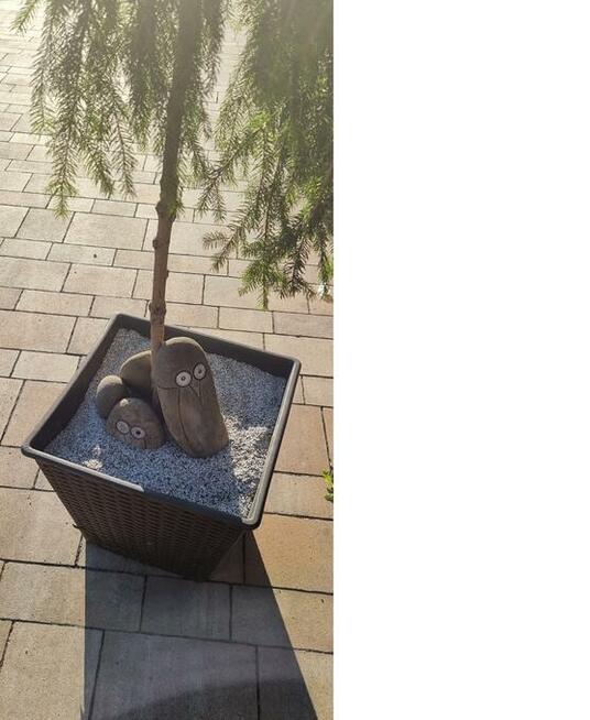 Suche Kruszywo Granitowe Fuga Zasypka do Kostki 2-3 mm Grys